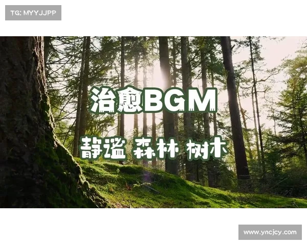 在荧光森林中冥想的五个步骤助你释放压力与获得内心平静 在荧光森林中冥想的五个步骤助你释放压力与获得内心平静