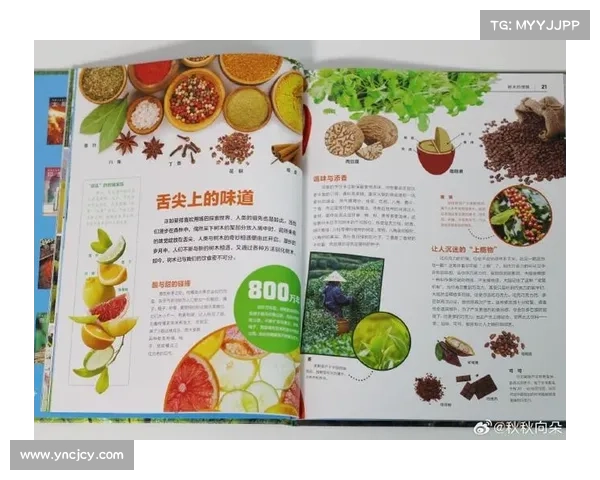 踏入神兽森林秘境探寻奇幻生物起源揭开自然界神秘面纱 踏入神兽森林秘境探寻奇幻生物起源揭开自然界神秘面纱